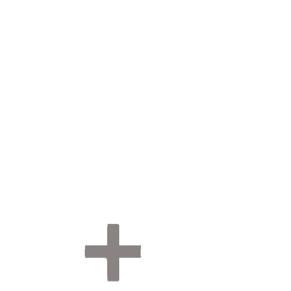 Das Pluszeichen vom Buchheim und Partner Logo